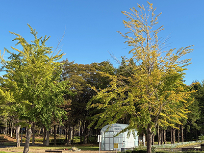 農工研の情景(2025年10月撮影)