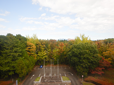農工研の情景(2025年11月撮影)