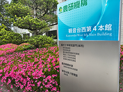 農工研入り口のツツジ(2026年5月撮影)