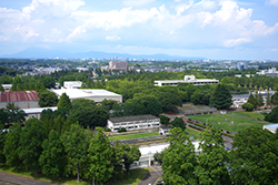 空から見た農村工学研究部門(2026年6月撮影)