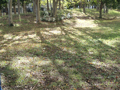 農村工学研究部門にて(2026年10月撮影)