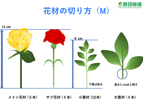 手順書のイメージ