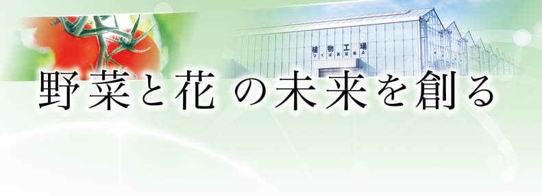 野菜と花の未来を創る