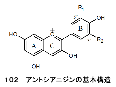 図102 アントシアニジンの基本構造