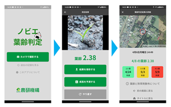 葉齢判定と生長予測の結果を示した画面の例