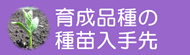育成品種の種苗入手先