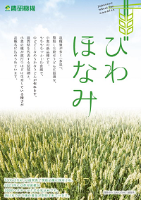びわほなみ.png