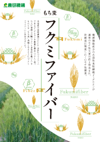 フクミファイバー.png