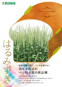 はるみずき.png
