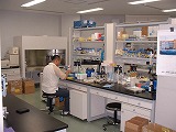 有用生物遺伝子解析室 