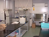 有用微生物機能開発室