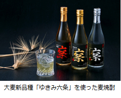 大麦新品種「ゆきみ六条」を使った麦焼酎