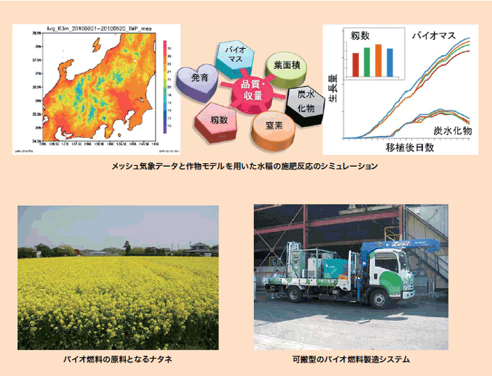 中日本農業研究センター:次世代を拓く革新的技術開発 | 農研機構