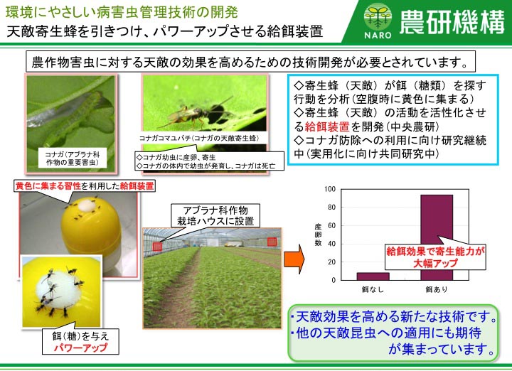 天敵寄生蜂を引きつけ、パワーアップさせる給餌装置