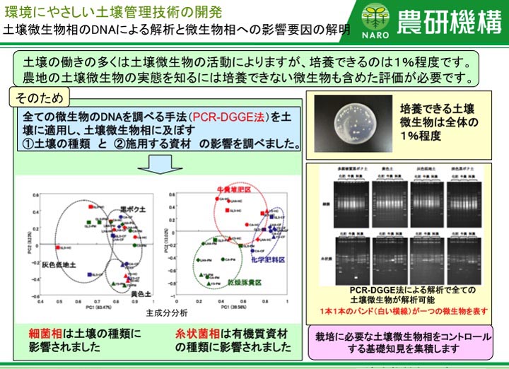 土壌微生物相のDNAによる解析と微生物相への影響要因の解明