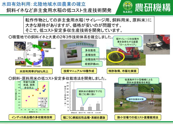 飼料イネなど非主食用水稲の低コスト生産技術開発