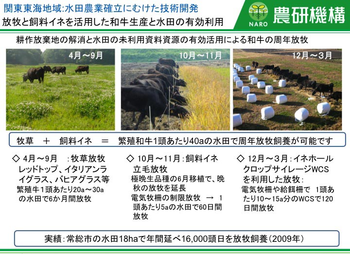 放牧と飼料イネを活用した和牛生産と水田の有効利用