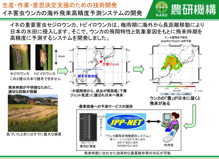 イネ害虫ウンカの海外飛来高精度予測システムの開発