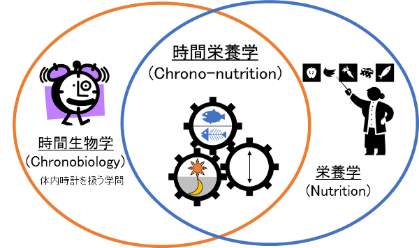 時間栄養学とは