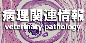 病理関連情報