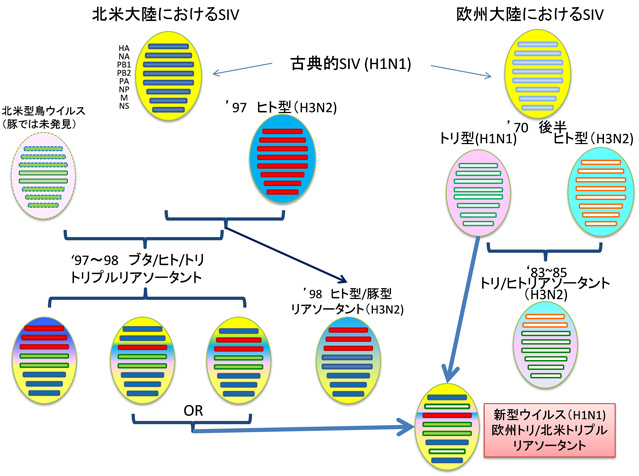 北米・欧州におけるSIV