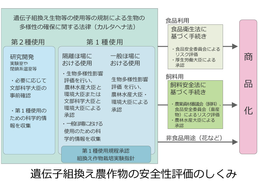 遺伝子組替え農作物の安全性評価のしくみ