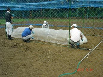 トンネルの設置 その2