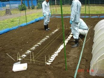 播種の場所確認等
