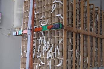 幼虫を移した蔟(格子状の器具)