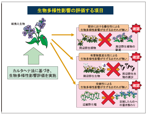 生物多様性影響の評価する項目の図