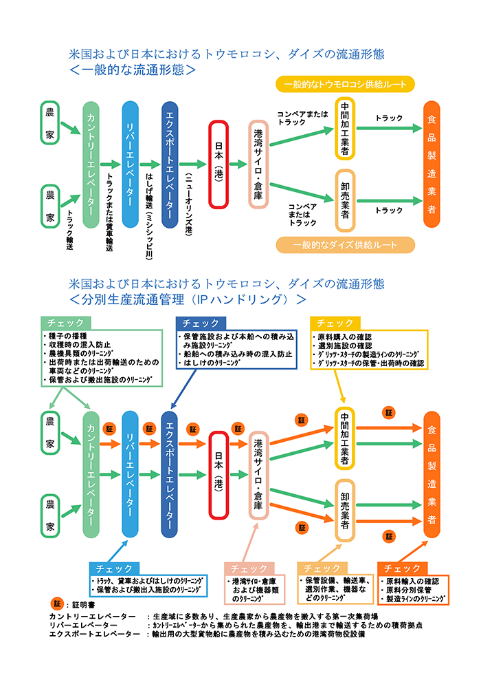 米国および日本におけるトウモロコシ、大豆の流通形態