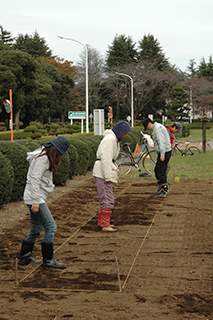 土をかぶせます。