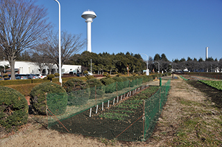 新たに小動物の侵入を防ぐ防護網を設けた1月12日の様子。