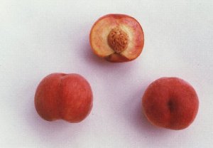 モモ品種「ファーストゴールド」の果実