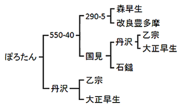 ぽろたんの系統図