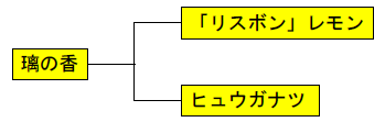 「璃の香」の交配組み合わせ