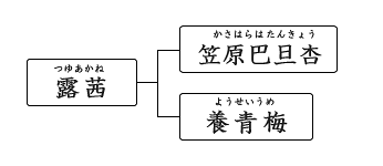 露茜(つゆあかね)、笠原巴旦杏(かさはらはたんきょう)、ウメ「養青梅(ようせいうめ)