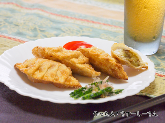 トルコ風サモサ