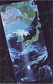 入力データ(衛星写真)