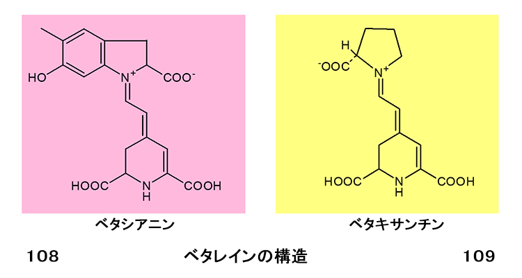 ベタレインの構造 図108 ベタシアニン、図109 ベタキサンチン