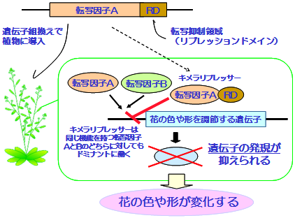 図1:CRES-T法の概略