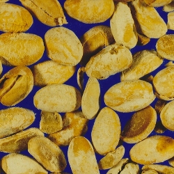 原因不明(種子5)