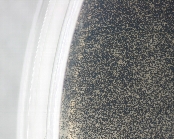 ダイズ炭腐病病原3