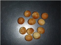 ウィルス病(PSV)