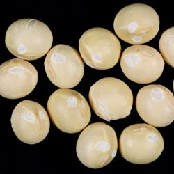 病害虫ではない