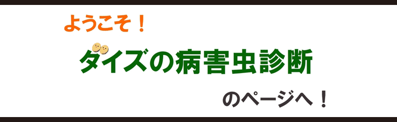 トップイラスト ようこそダイズの病害虫診断のページへ！