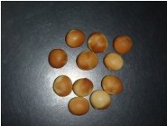 ウイルス病 病徴1