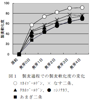 図１　製麦過程での製麦軟化度の変化