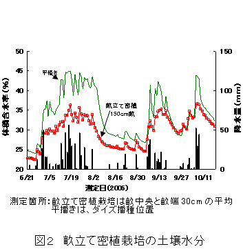 図２　畝立て密植栽培の土壌水分