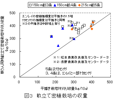 図３　畝立て密植栽培の収量